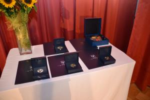 Mirna, prva podelitev obcinskih priznanj, 30062017, foto Lapego (2)